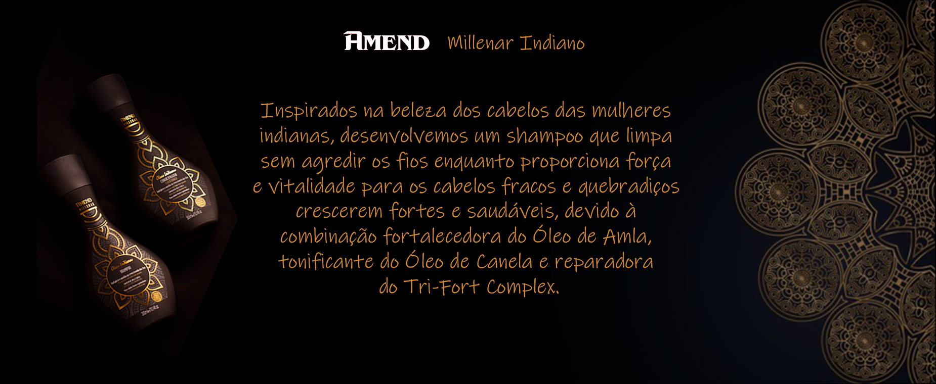 Amend_Milenium_Banner_site